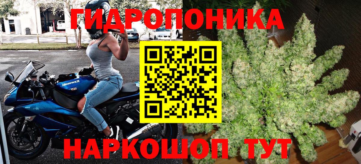 Сокол  Каннабис план  Вход с VPN  Бошки марихуана планчик 